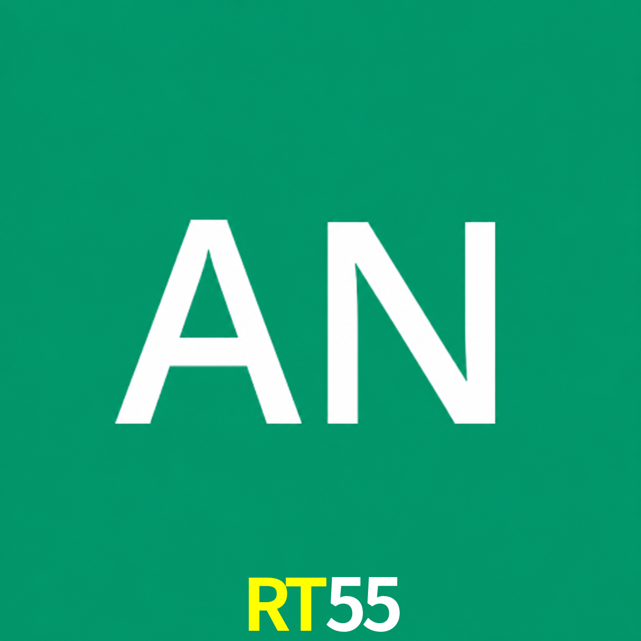 Adi Nugroho - Founder & CEO RT55 Indonesia